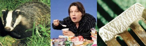 a badger and some yoghurt
