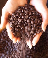coffee